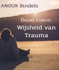 ONLINE CURSUS: Wijsheid van Trauma