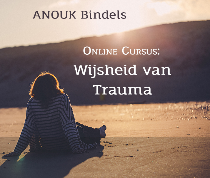 Wijsheid van Trauma – Een pad naar herstel na traumatische gebeurtenissen
